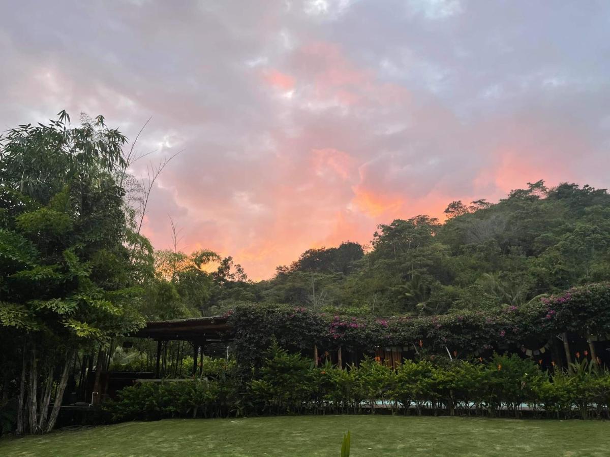 플라야 에르모사 Soul Sync Sanctuary Formally Hacienda La Moringa 아파트 외부 사진